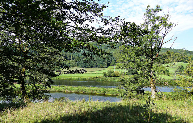 Der Fluss Regen im Sommer