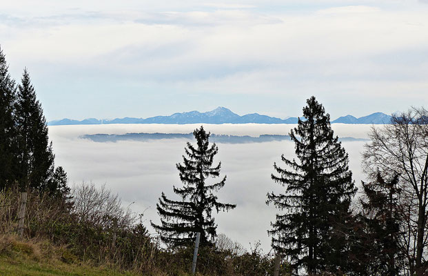 Inversionswetterlage beim Auerberg