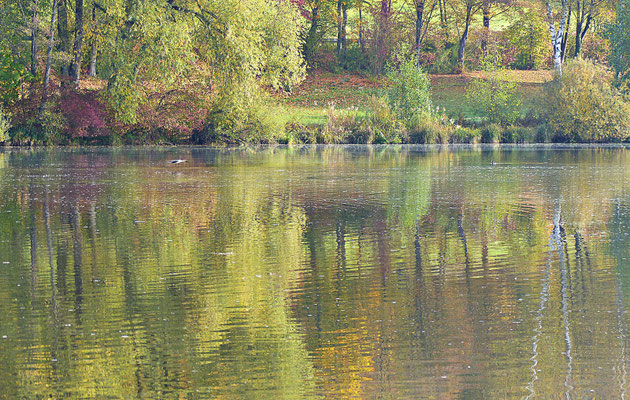 Der Rothsee