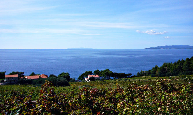 Herrliche Aussicht