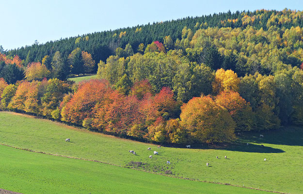 Farbenfrohes Böhmen