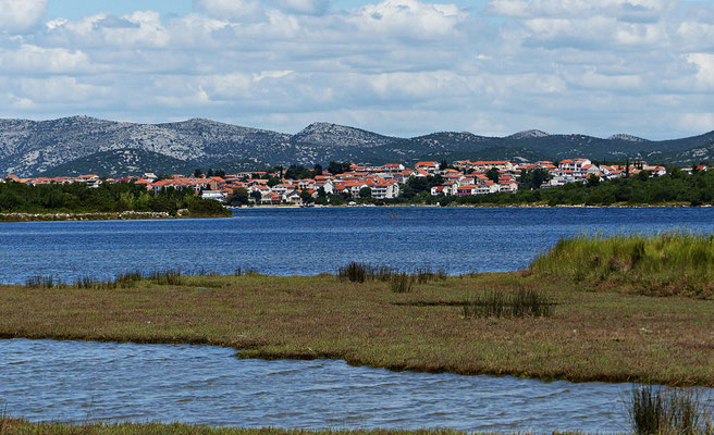 Tisno