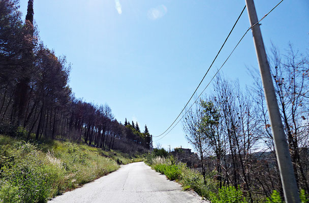 Gornje Sitno