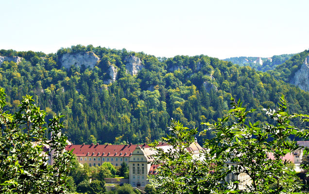 Im Schwarzwald