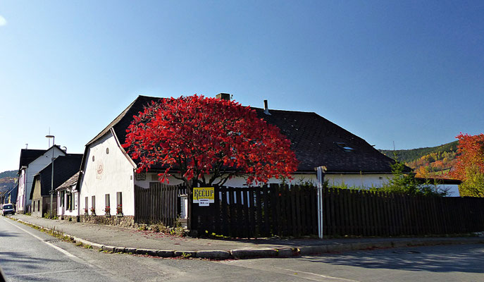 Farbenfrohes Böhmen