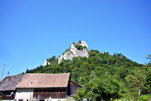 Im Schwarzwald