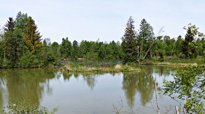 Herrliche Natur beim Lech