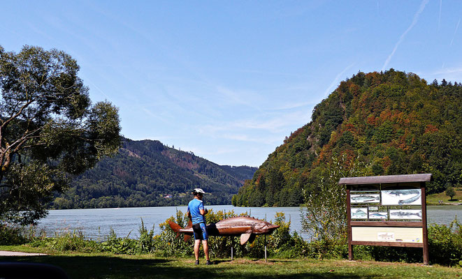 An der schönen Donau