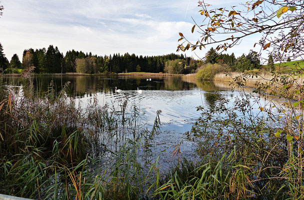 Im schönen Allgäu
