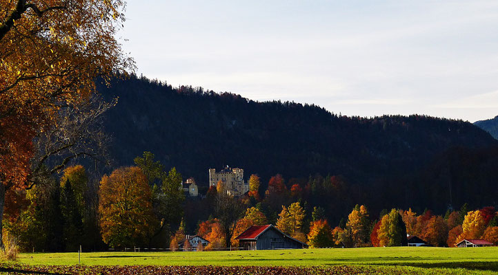 Impressionen aus dem schönen Allgäu