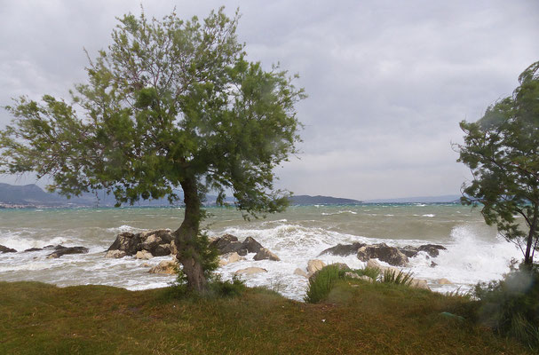 Jugo in Kastel Stafilic
