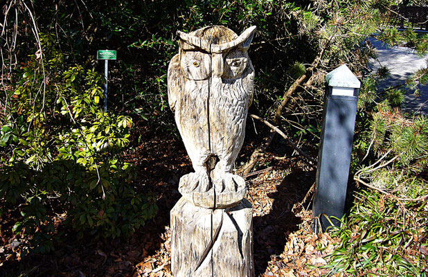Holzschnitzerei im Botanischen Garten Augsburg
