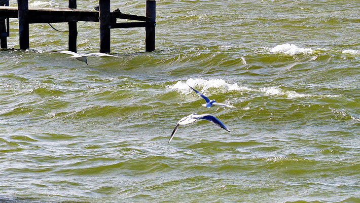 Ammersee