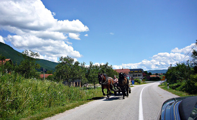 Pferdegespann in Bosnien-Herzegovina