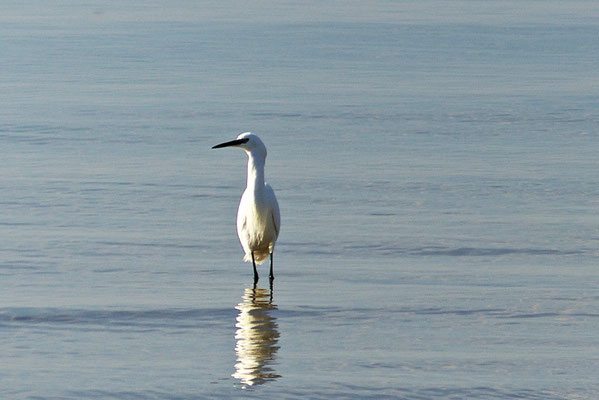 Das Delta der Neretva