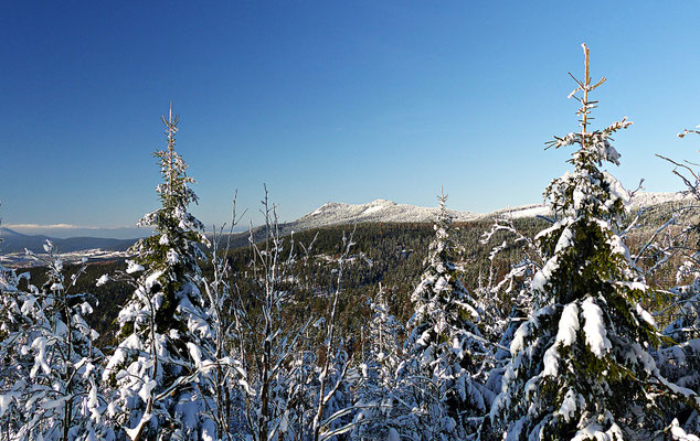 Winter im Bayerischen Wald