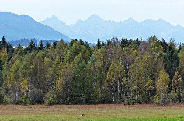Herbst