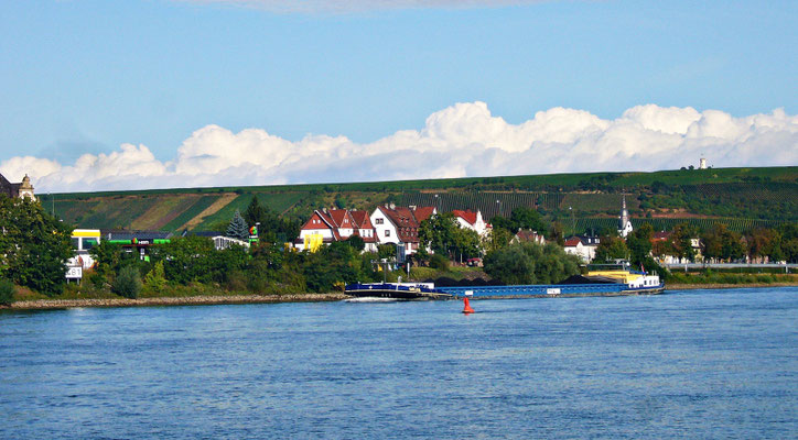 Beim schönen Rhein