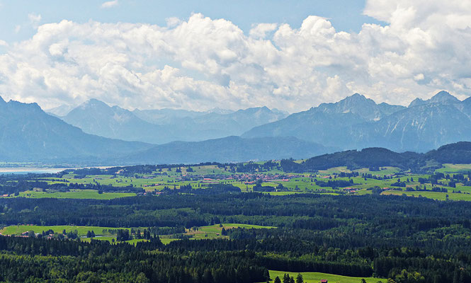 Die Natur beim Auerberg