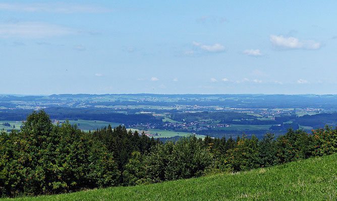 Die Natur beim Auerberg