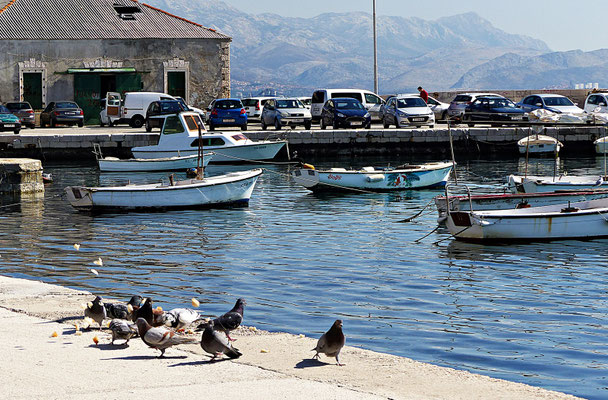 März 2019 in Kastel Stafilic