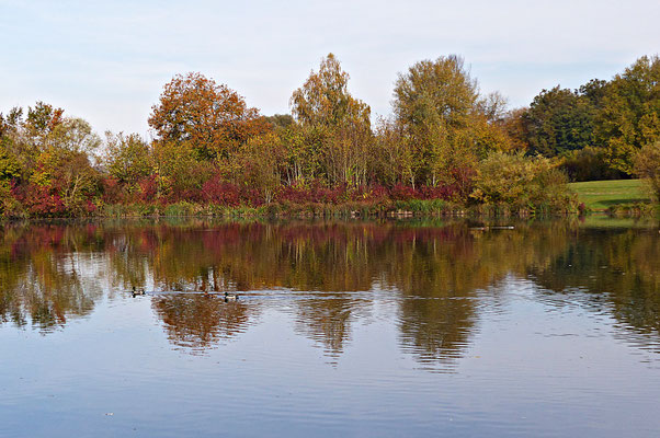 Der Rothsee