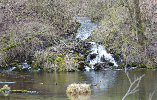 Kleiner Wasserfall beim Lech