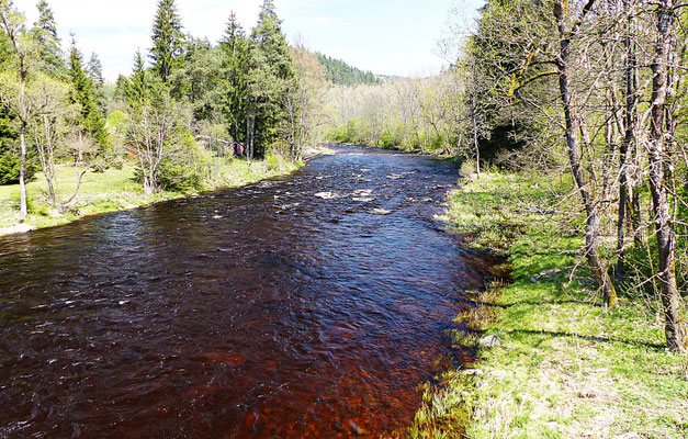 Im Sumava