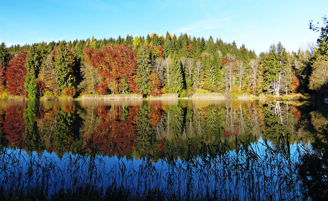 Spiegelung in Bayern