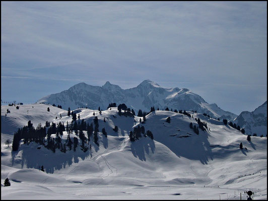 Warth