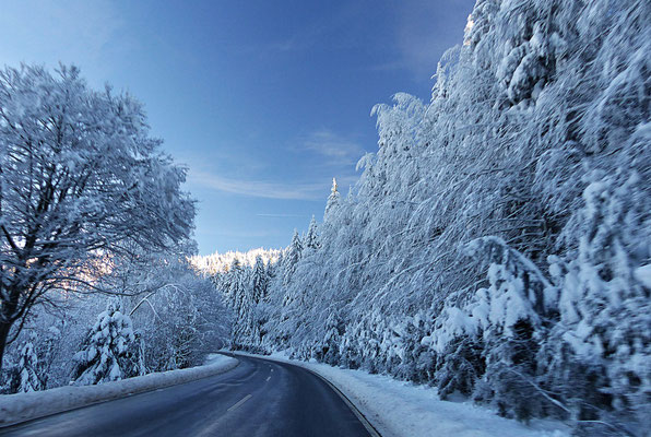 Winter im Bayerischen Wald