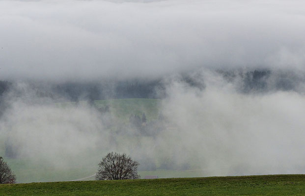 Inversionswetterlage beim Auerberg