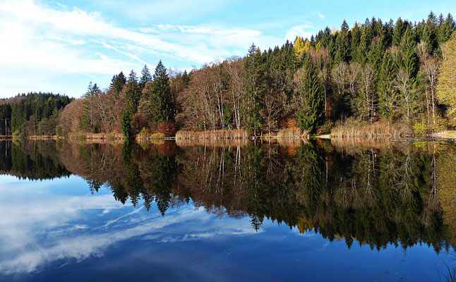 Spiegelung in Bayern