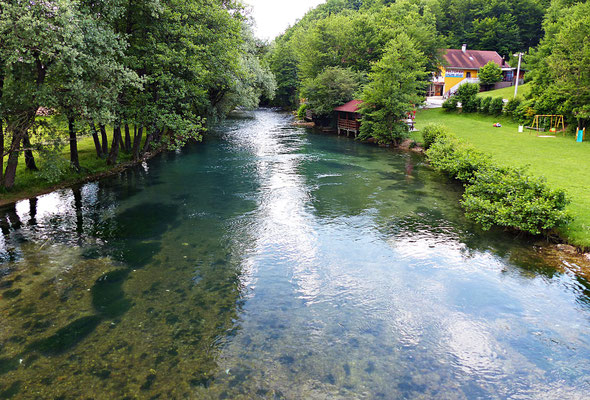 Die Pliva