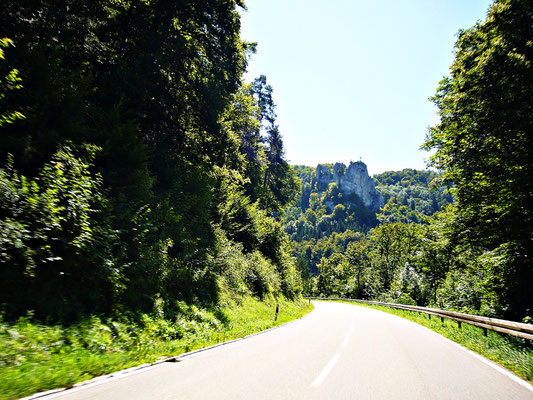 Im Schwarzwald