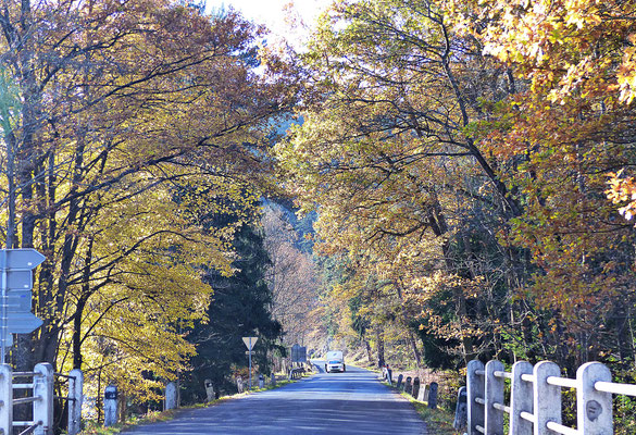 Beim Sumava im Herbst