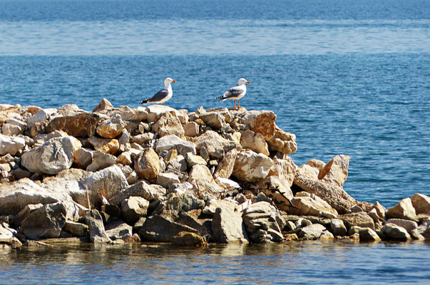 März 2019 in Kastel Stafilic