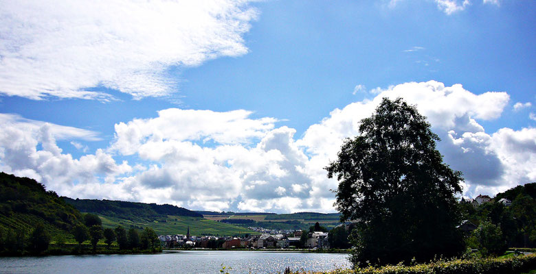 Die Mosel