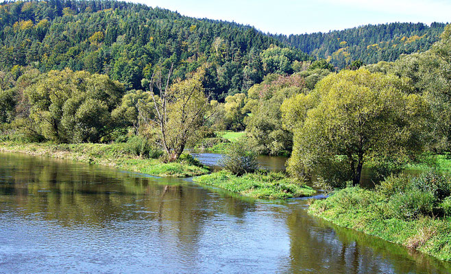 Der Fluss Regen im Sommer