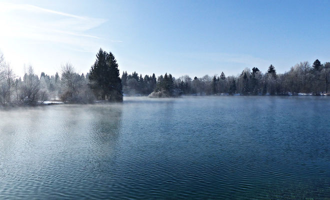 Der Auensee