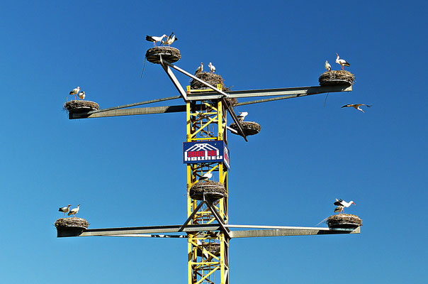 Der Storchenkran von Kirchheim
