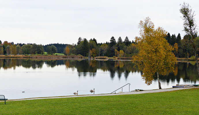 Soiener See