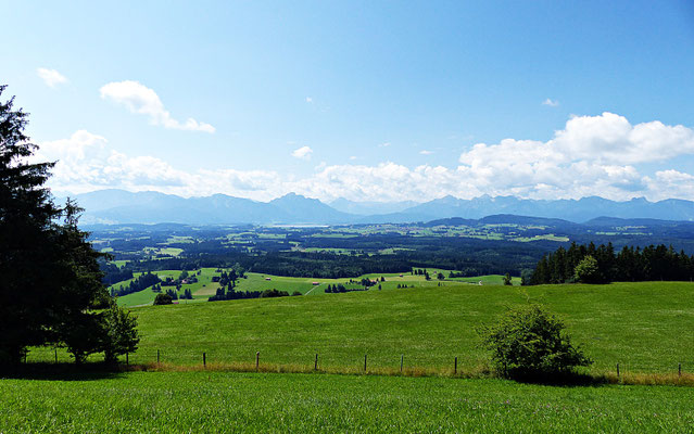 Die Natur beim Auerberg
