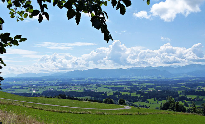 Die Natur beim Auerberg