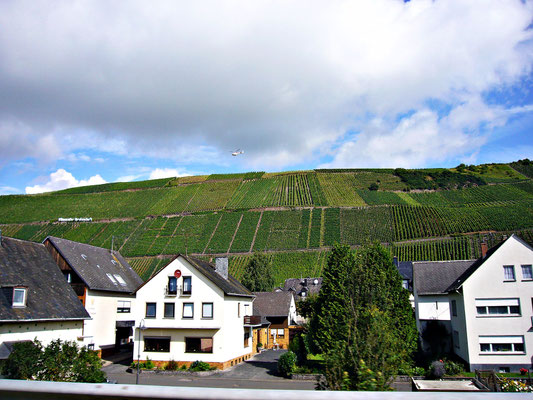 An der schönen Mosel