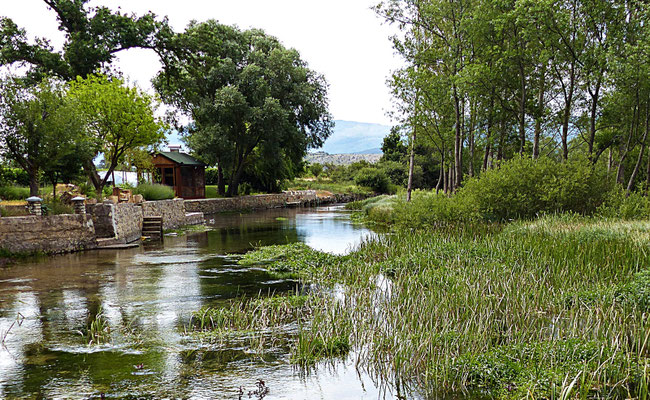 An der Cetina