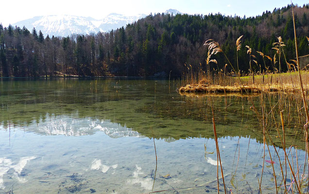 Der Alatsee