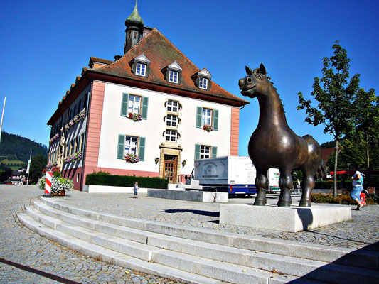 Im Schwarzwald