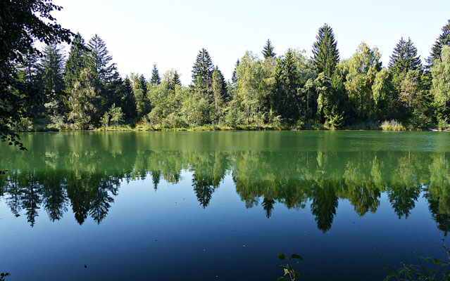 Der Lech bei Scheuring