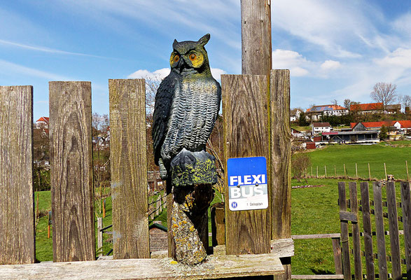 Holzschnitzerei im Greifvogelpark Menter in Konzenberg